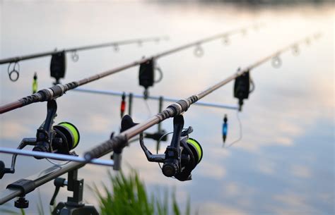 carp fishing rods|Best Carp Rods: Top Picks for Serious Anglers – DailyFishers.